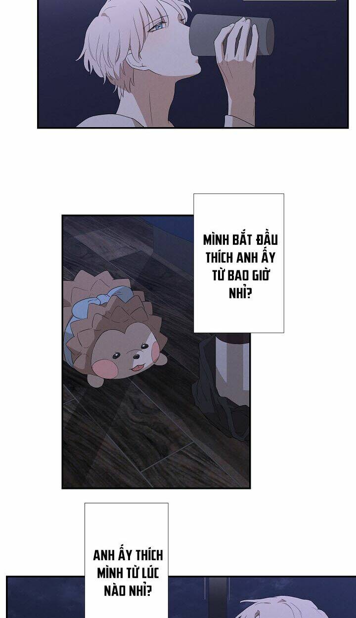 page_17.jpg