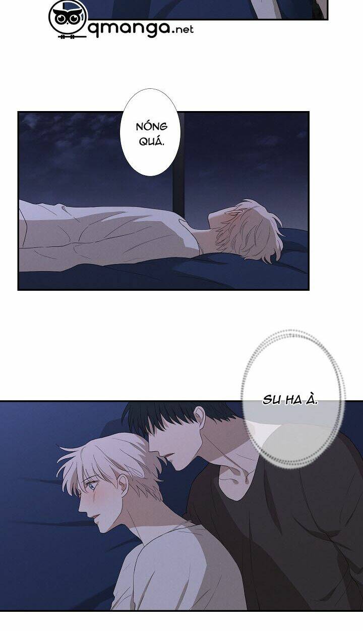 page_19.jpg