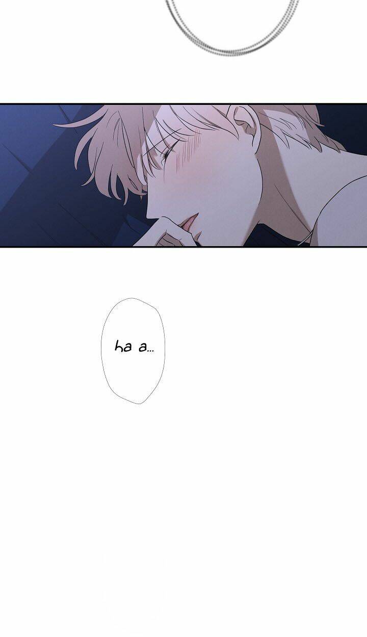page_22.jpg