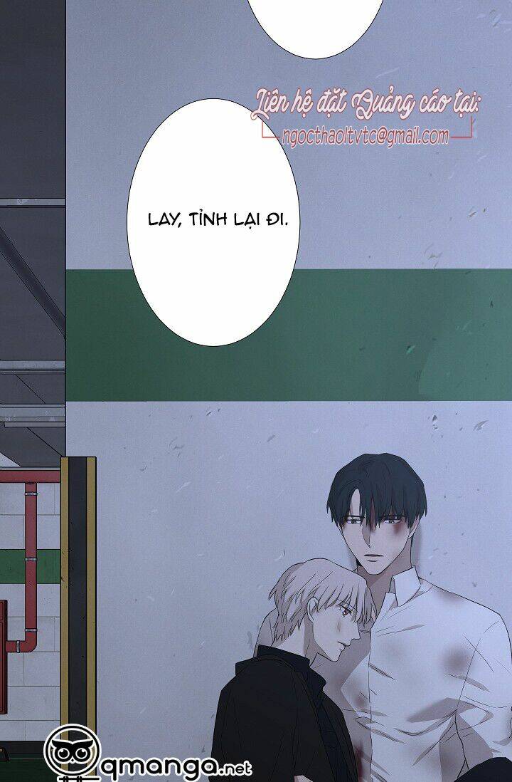 page_27.jpg