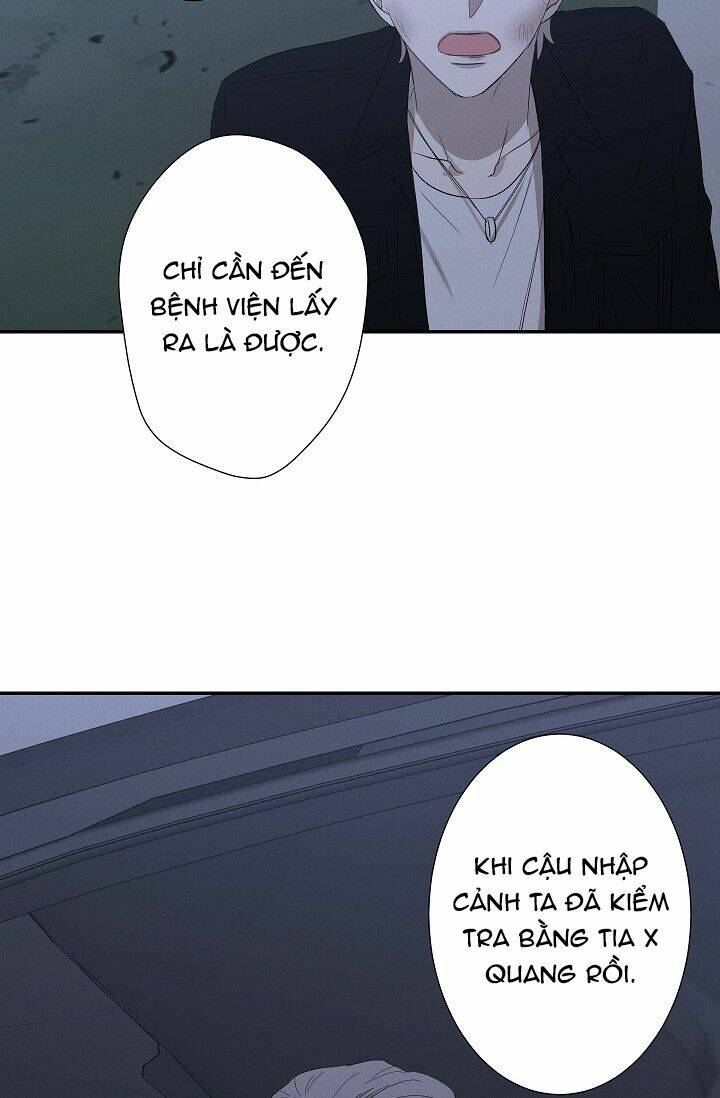 page_48.jpg