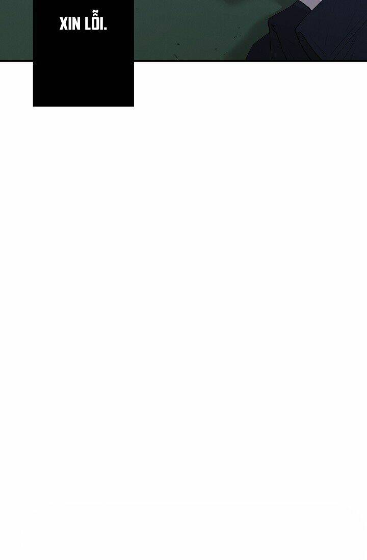 page_19.jpg
