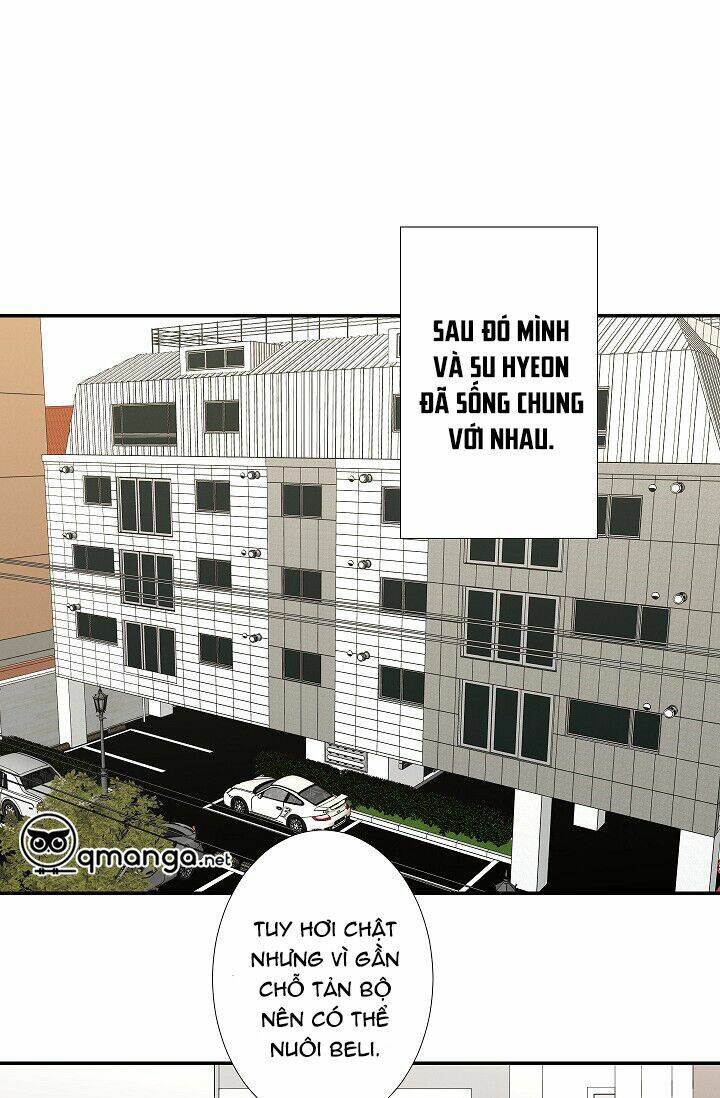 page_24.jpg