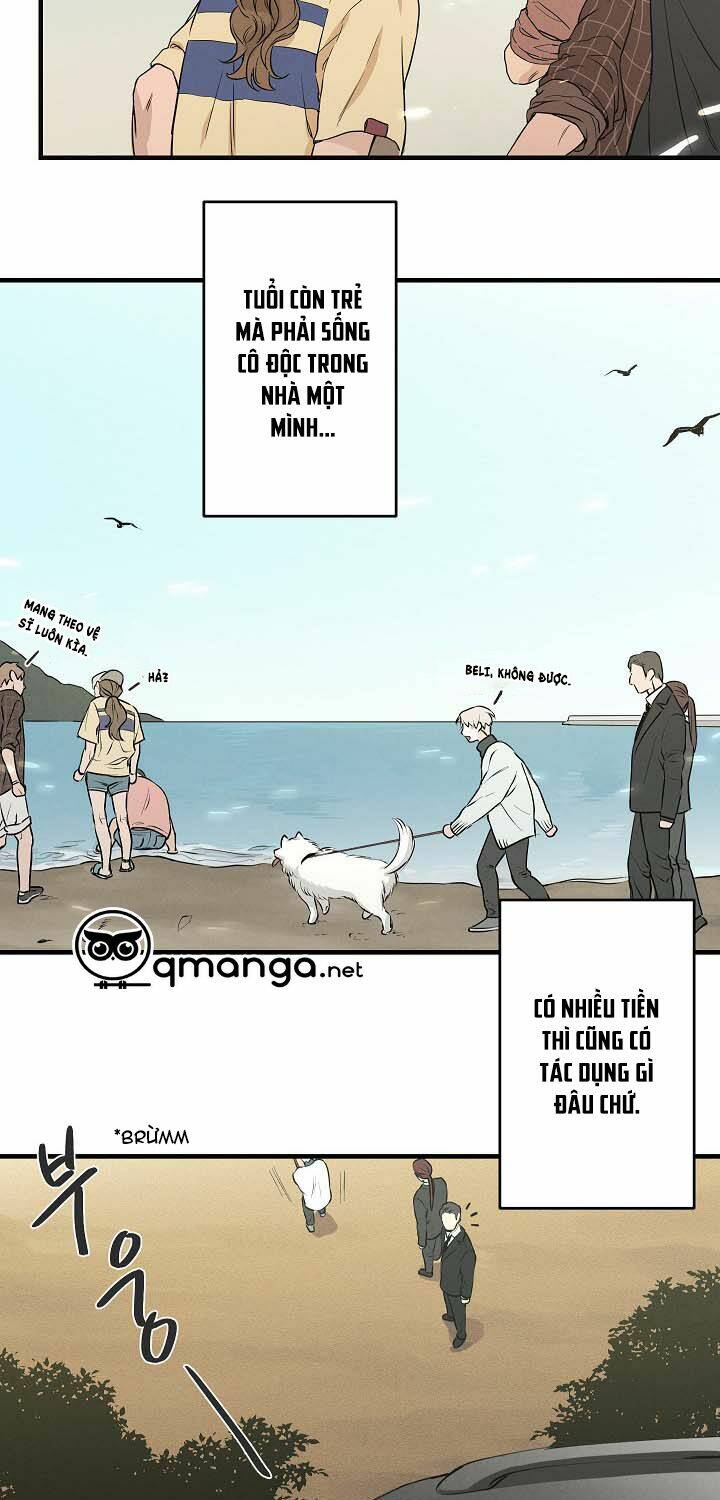page_14.jpg