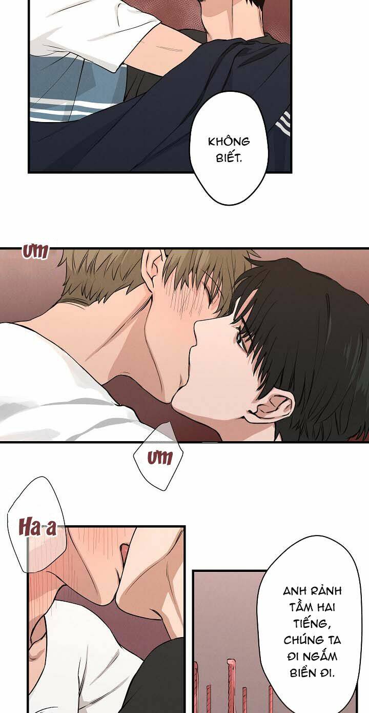 page_20.jpg