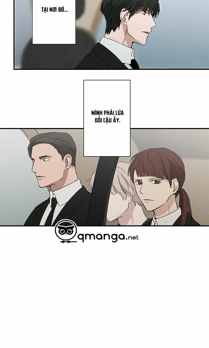page_19.jpg
