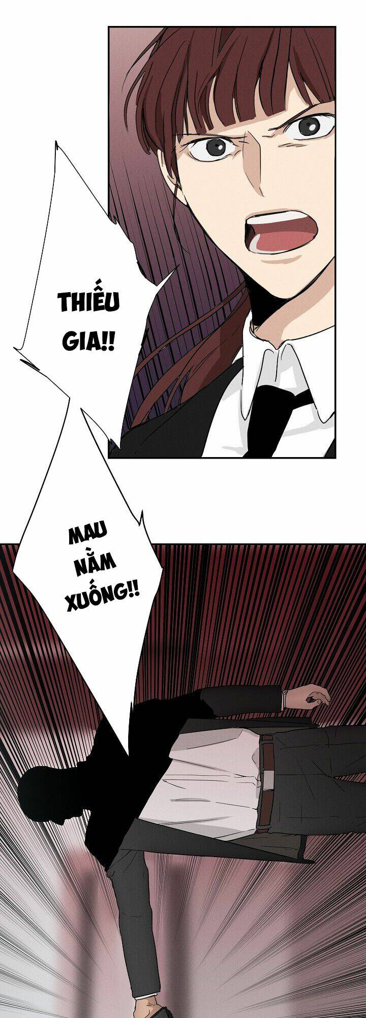 page_22.jpg