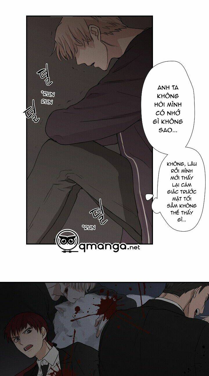 page_17.jpg