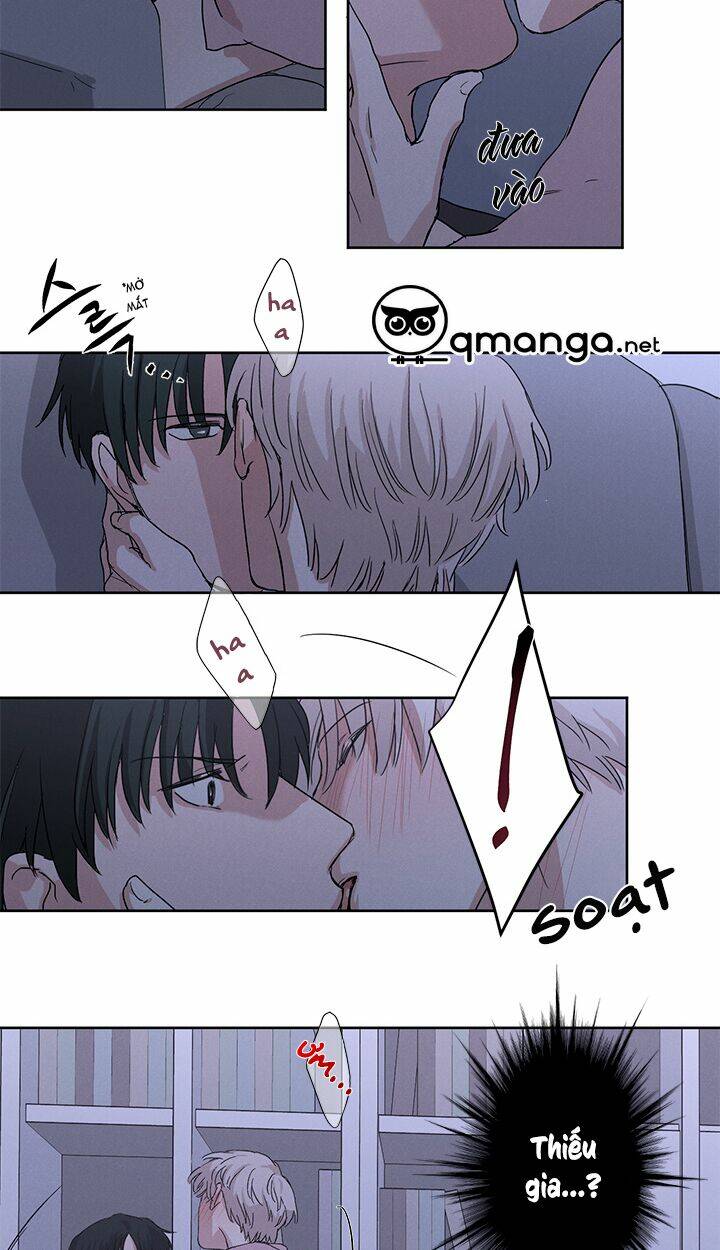 page_17.jpg