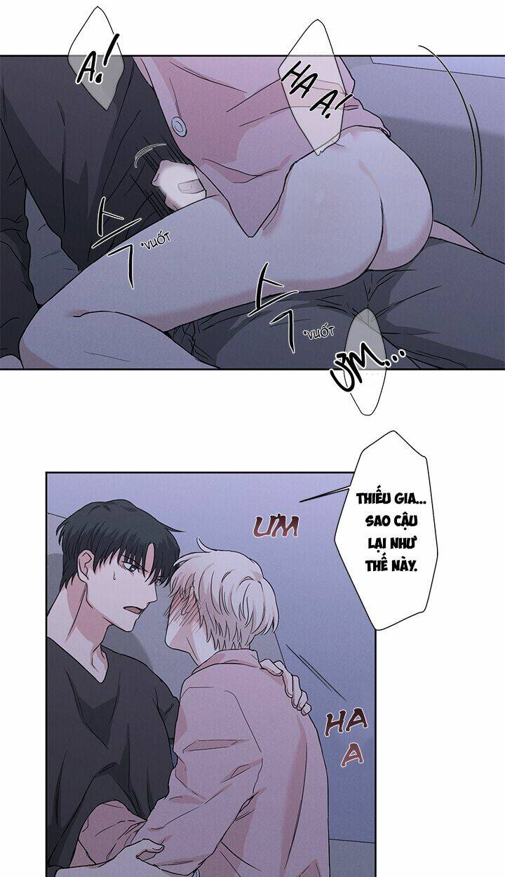page_19.jpg