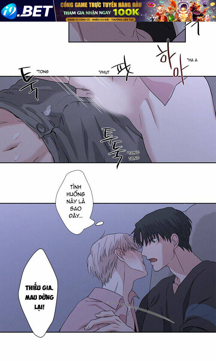 page_21.jpg