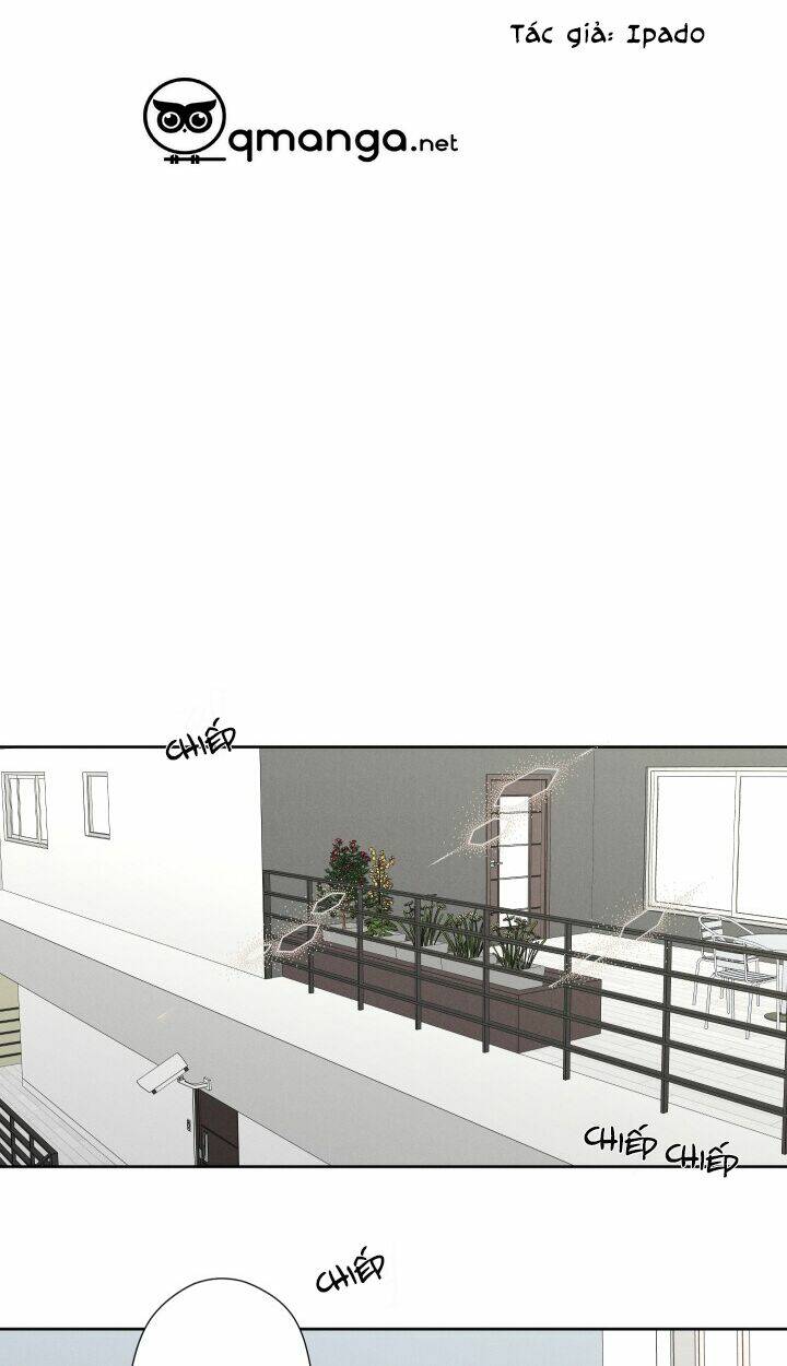page_16.jpg