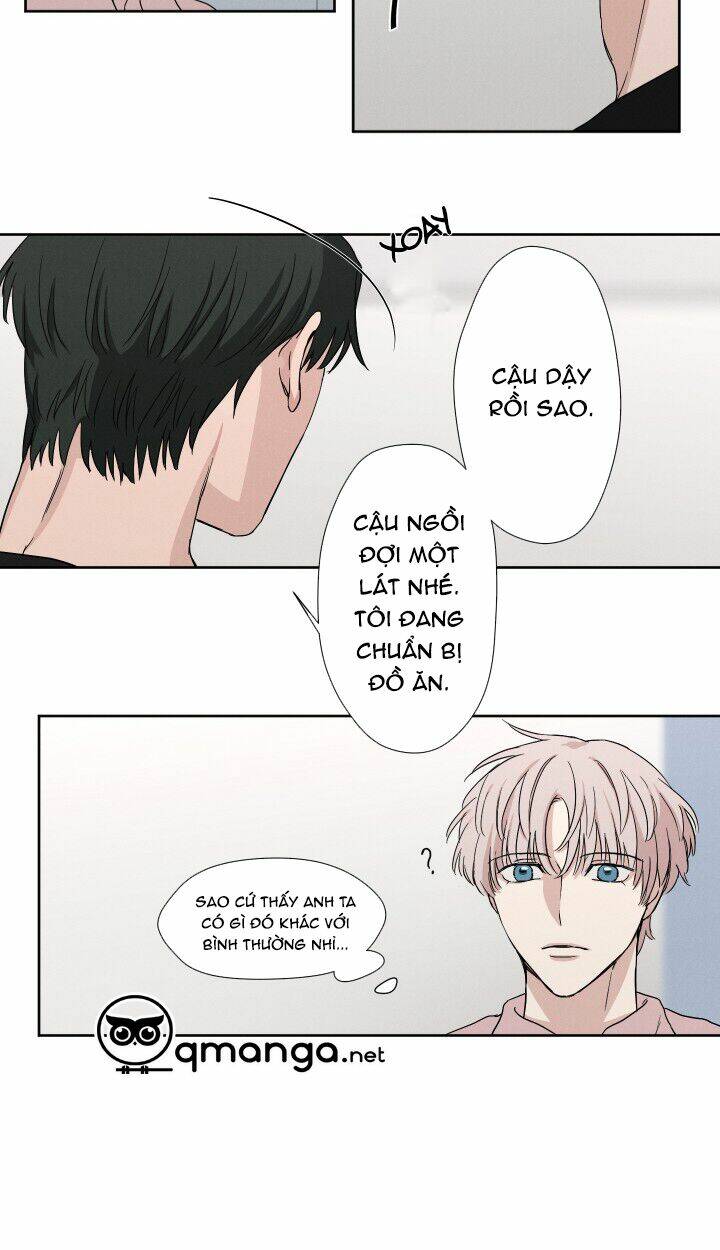 page_19.jpg