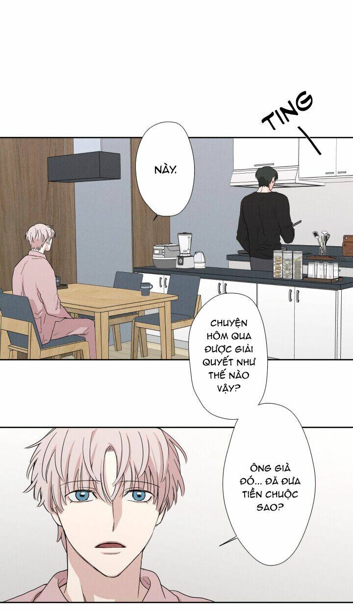 page_20.jpg