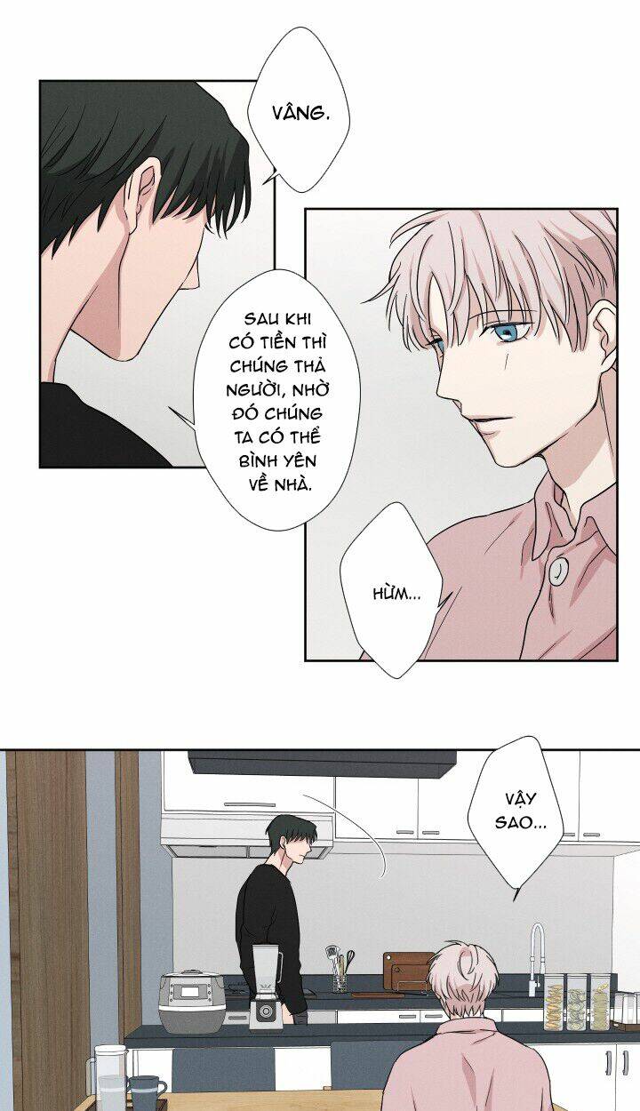 page_21.jpg