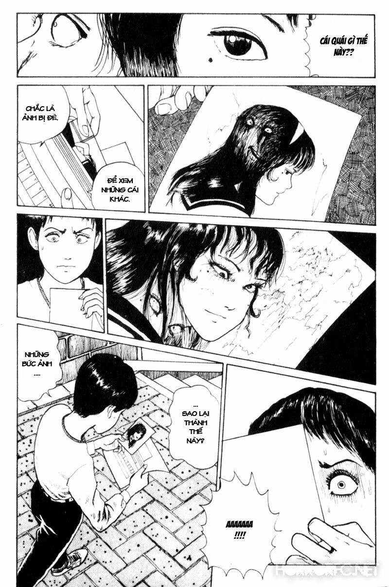 page_29.jpg