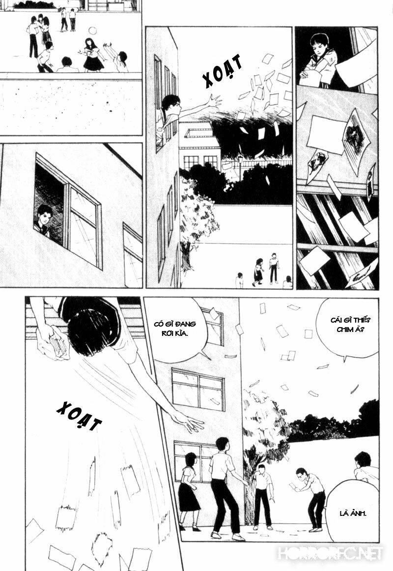 page_31.jpg