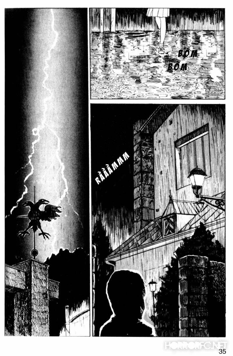page_4.jpg