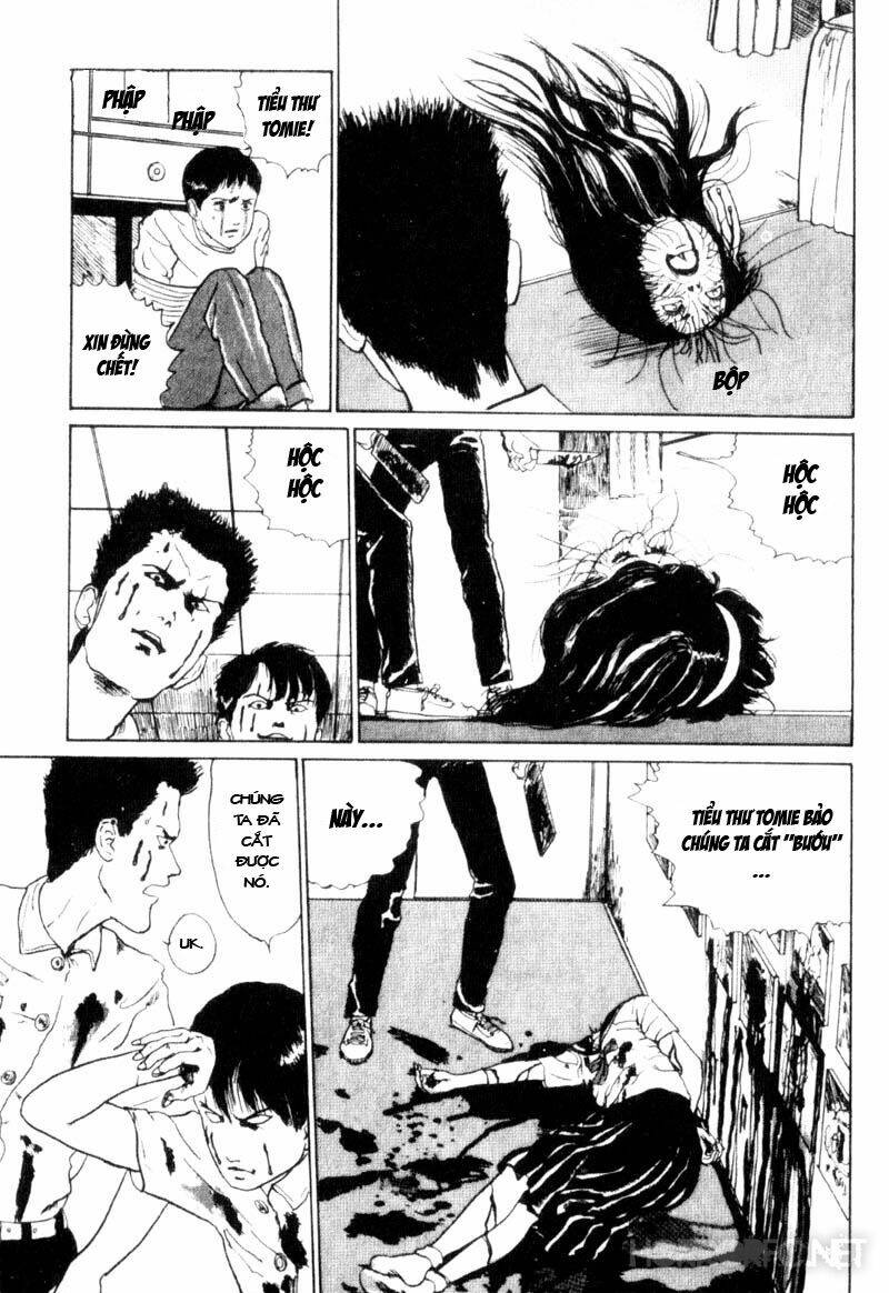page_55.jpg