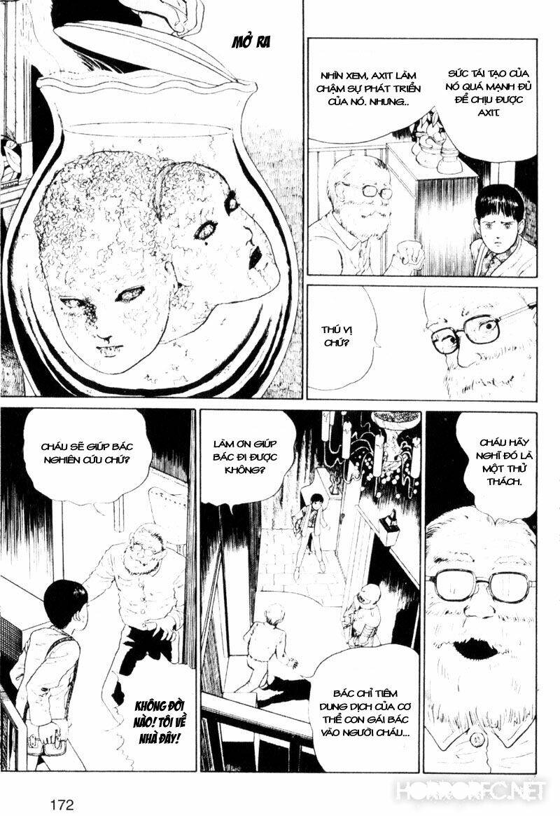 page_15.jpg
