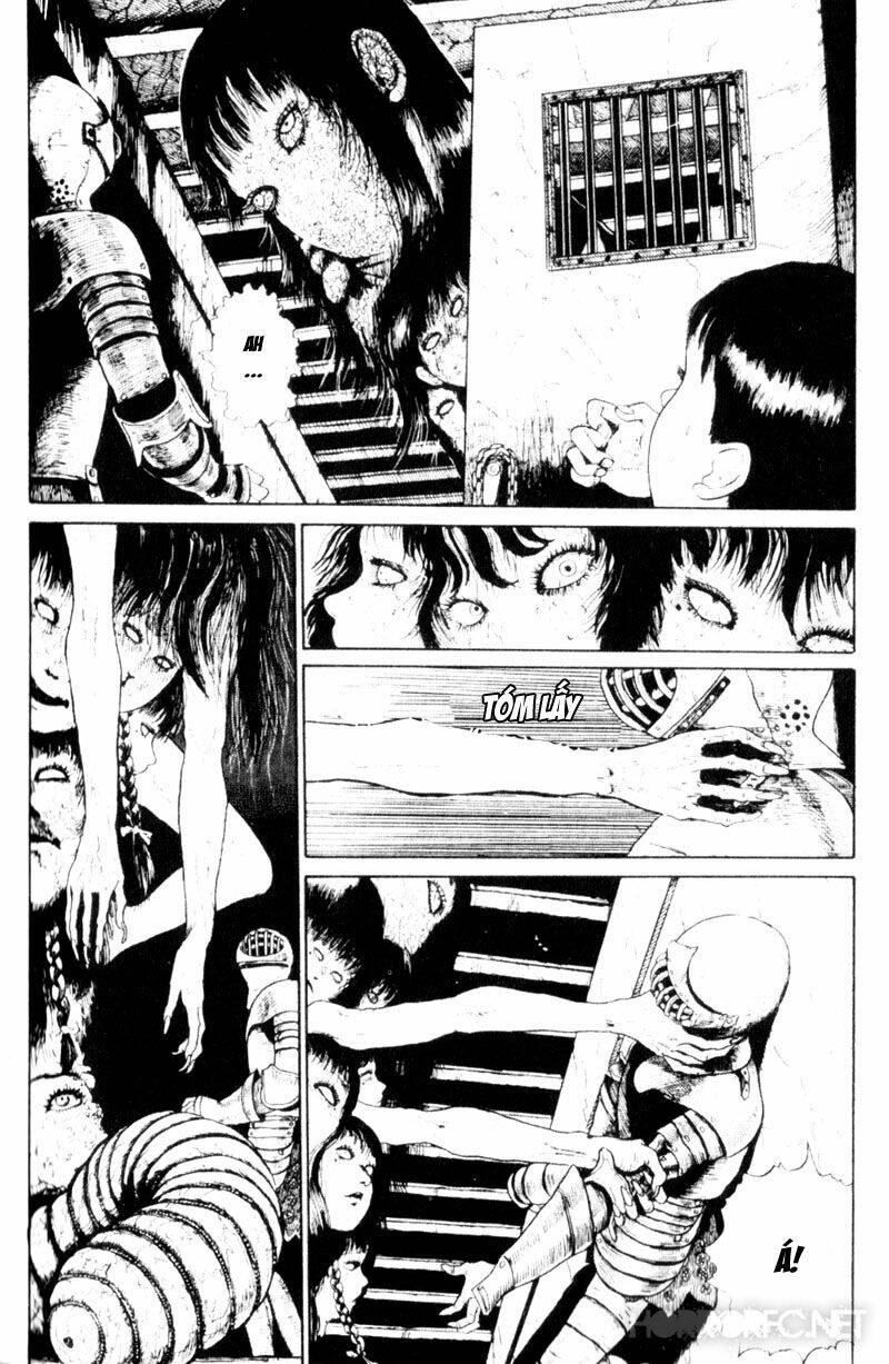 page_28.jpg