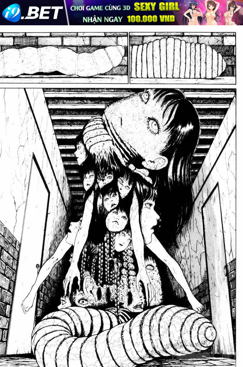 page_31.jpg