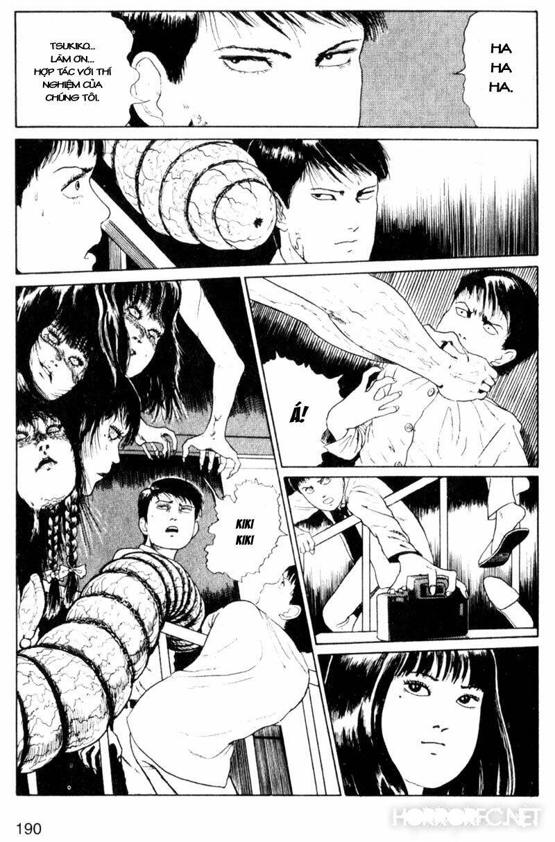 page_33.jpg