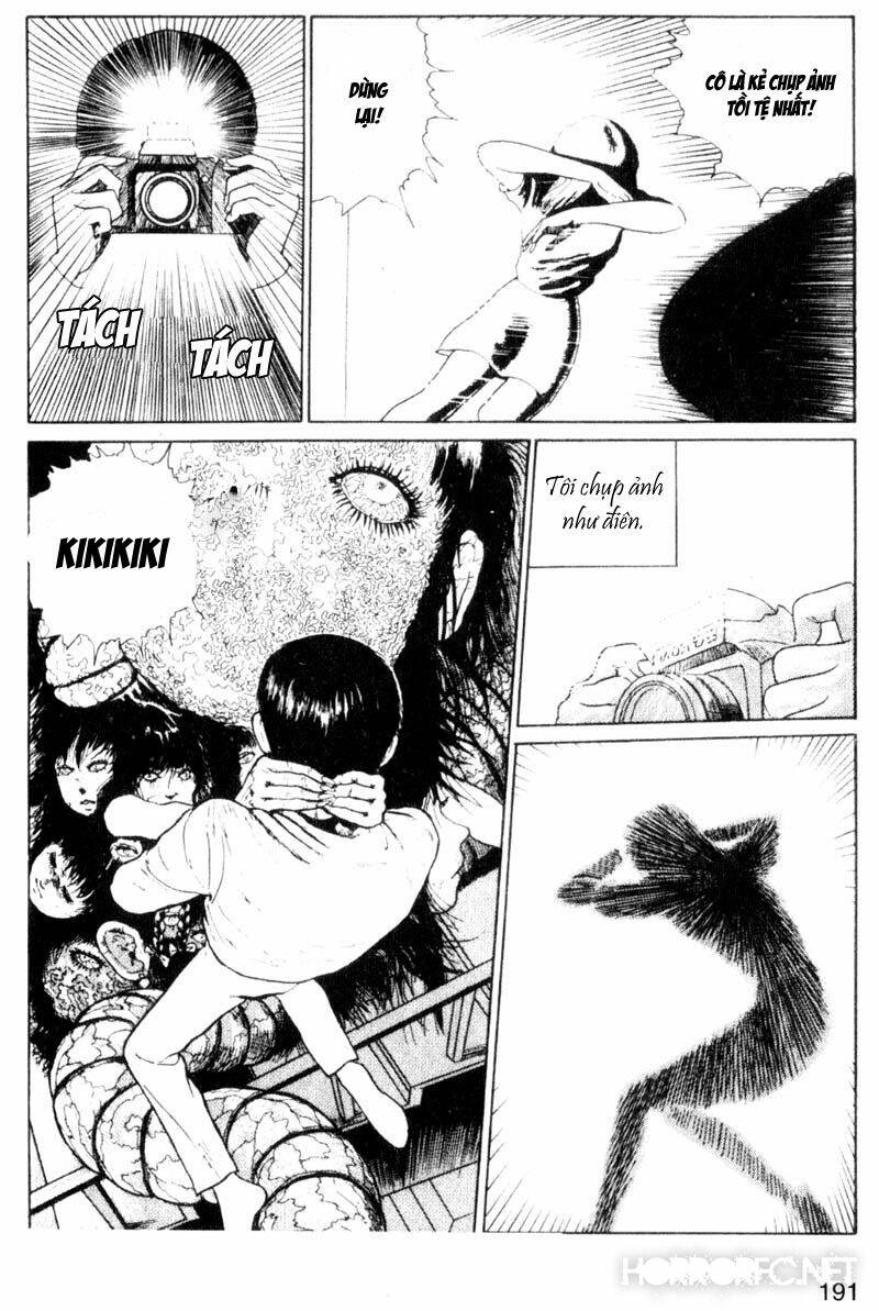 page_34.jpg