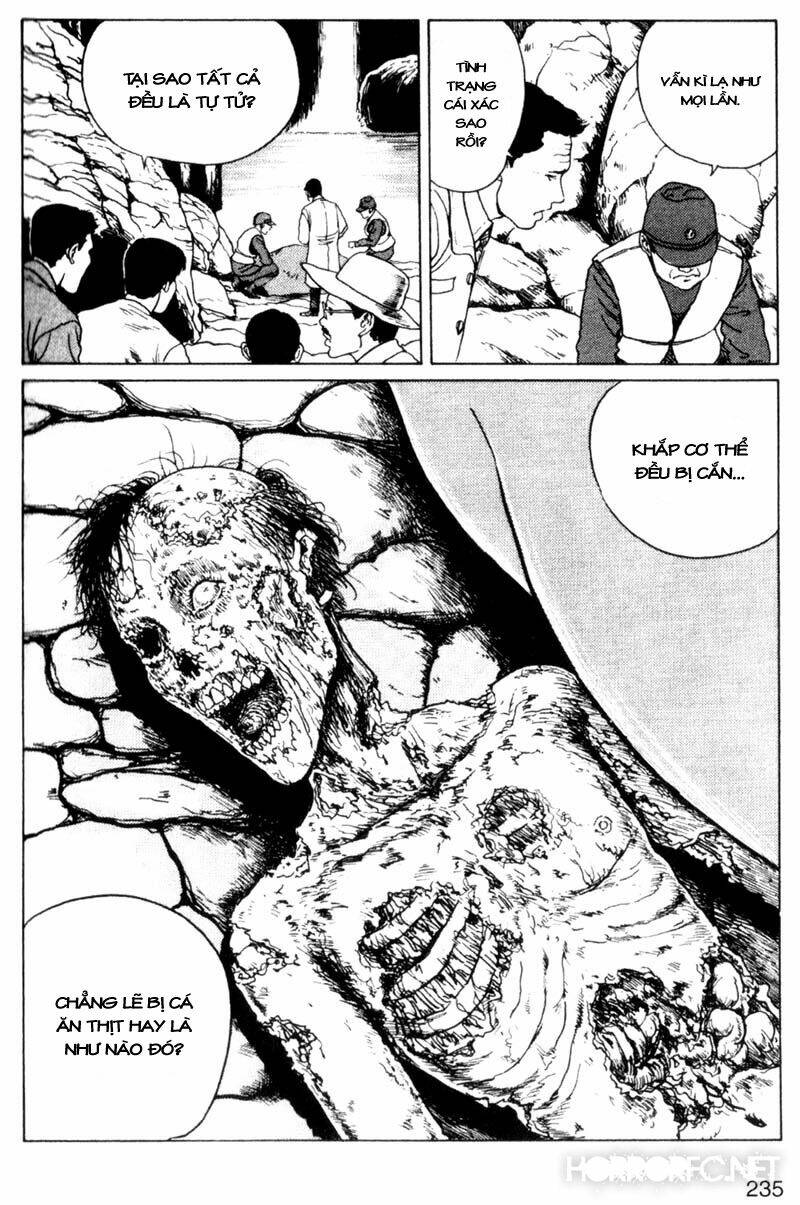 page_12.jpg