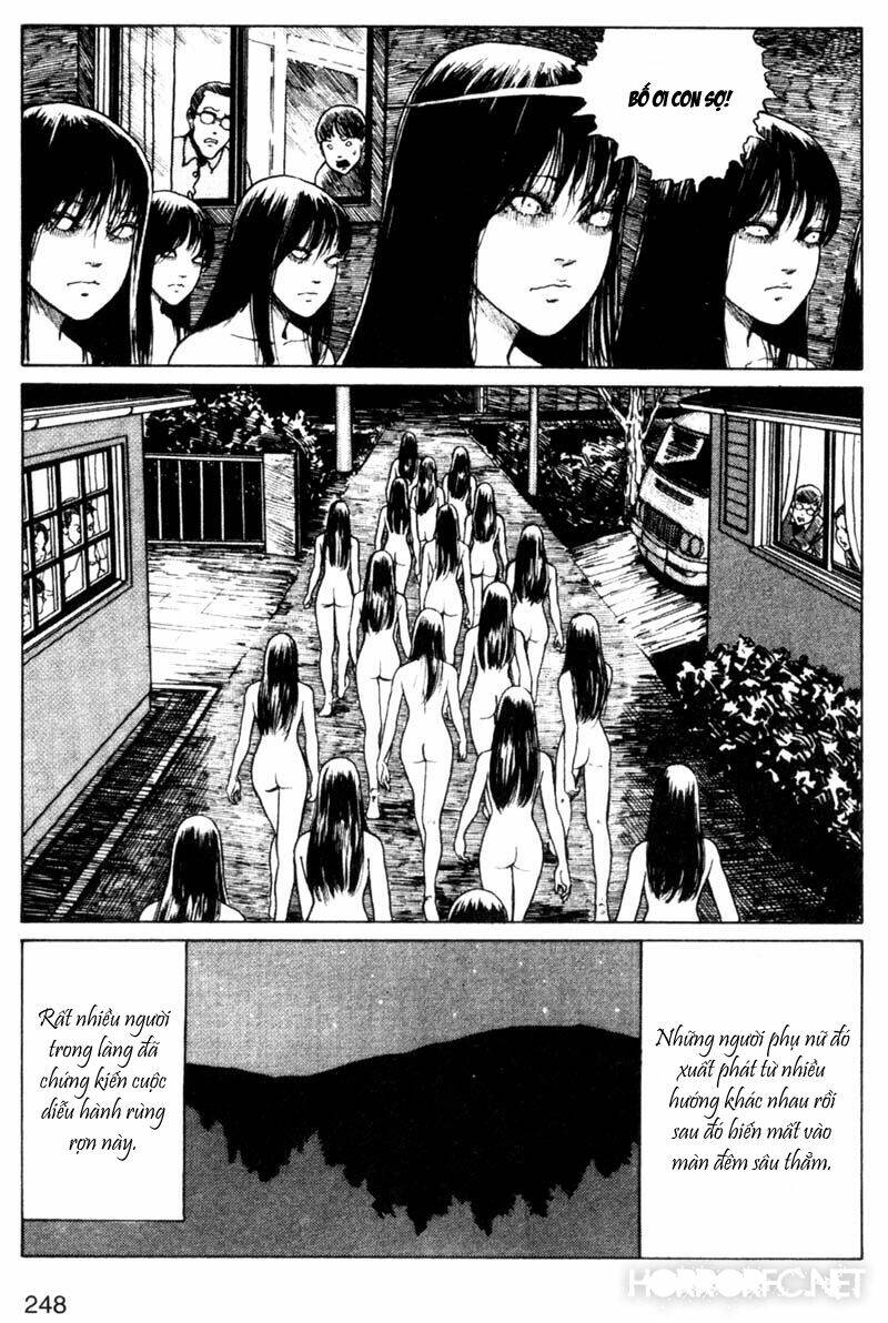 page_25.jpg