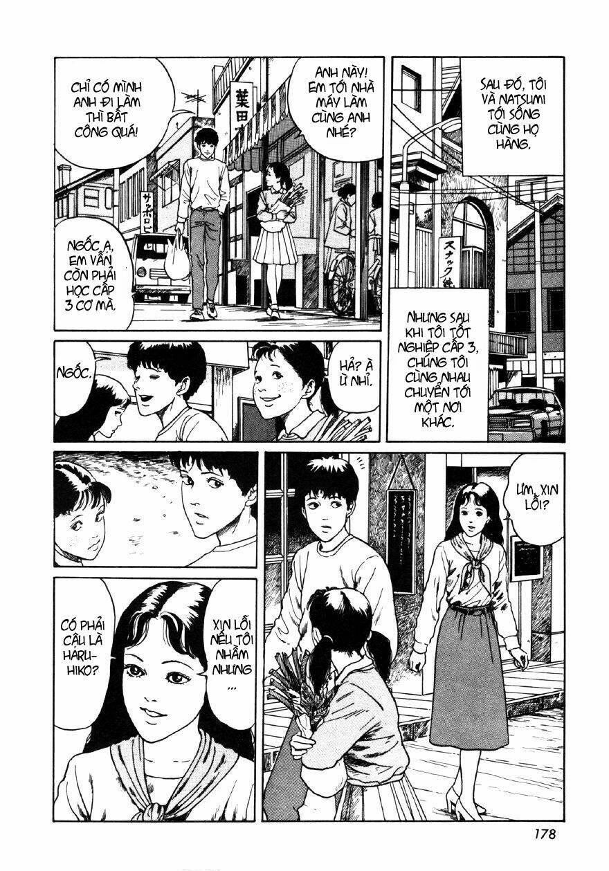 page_17.jpg