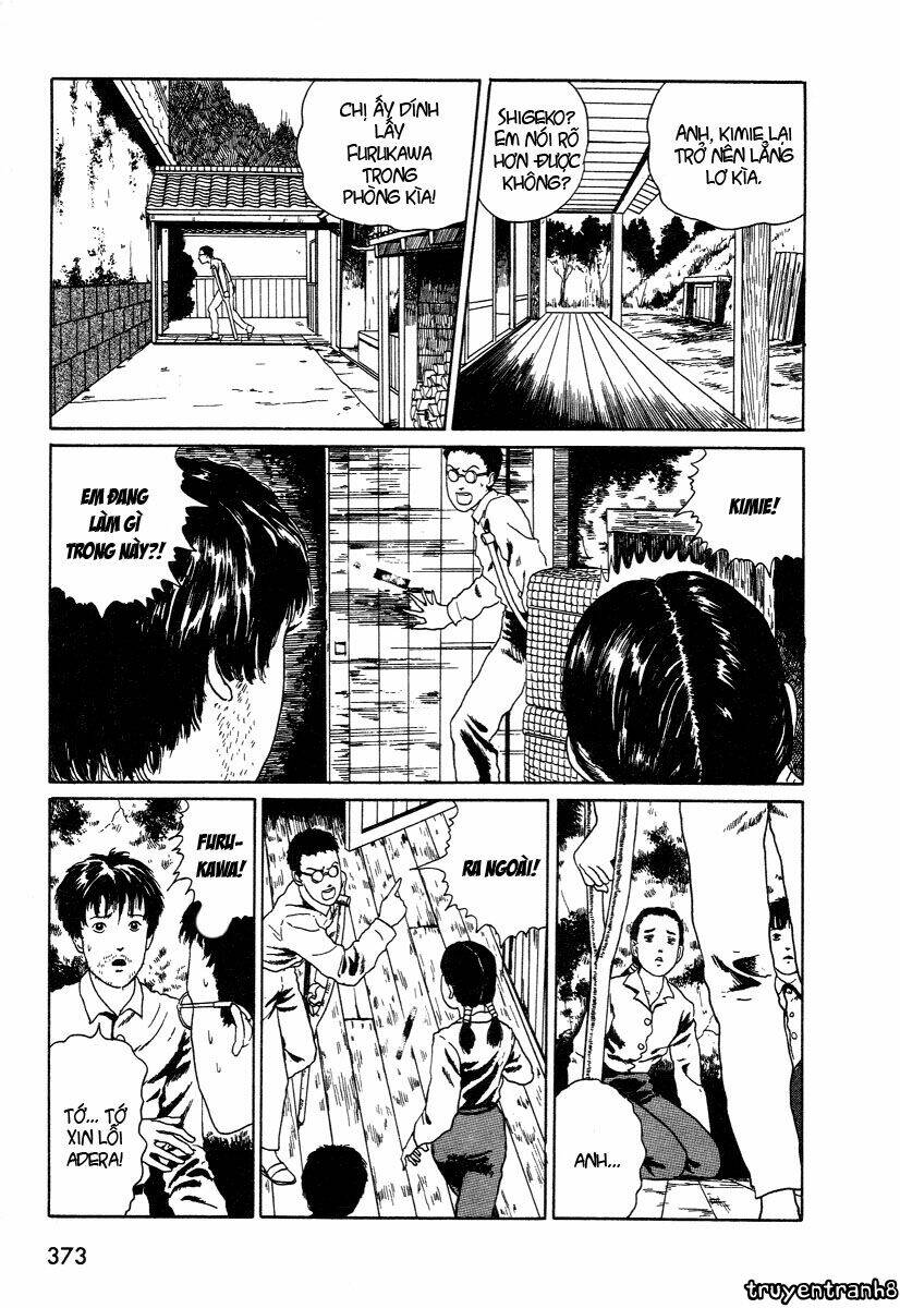 page_19.jpg