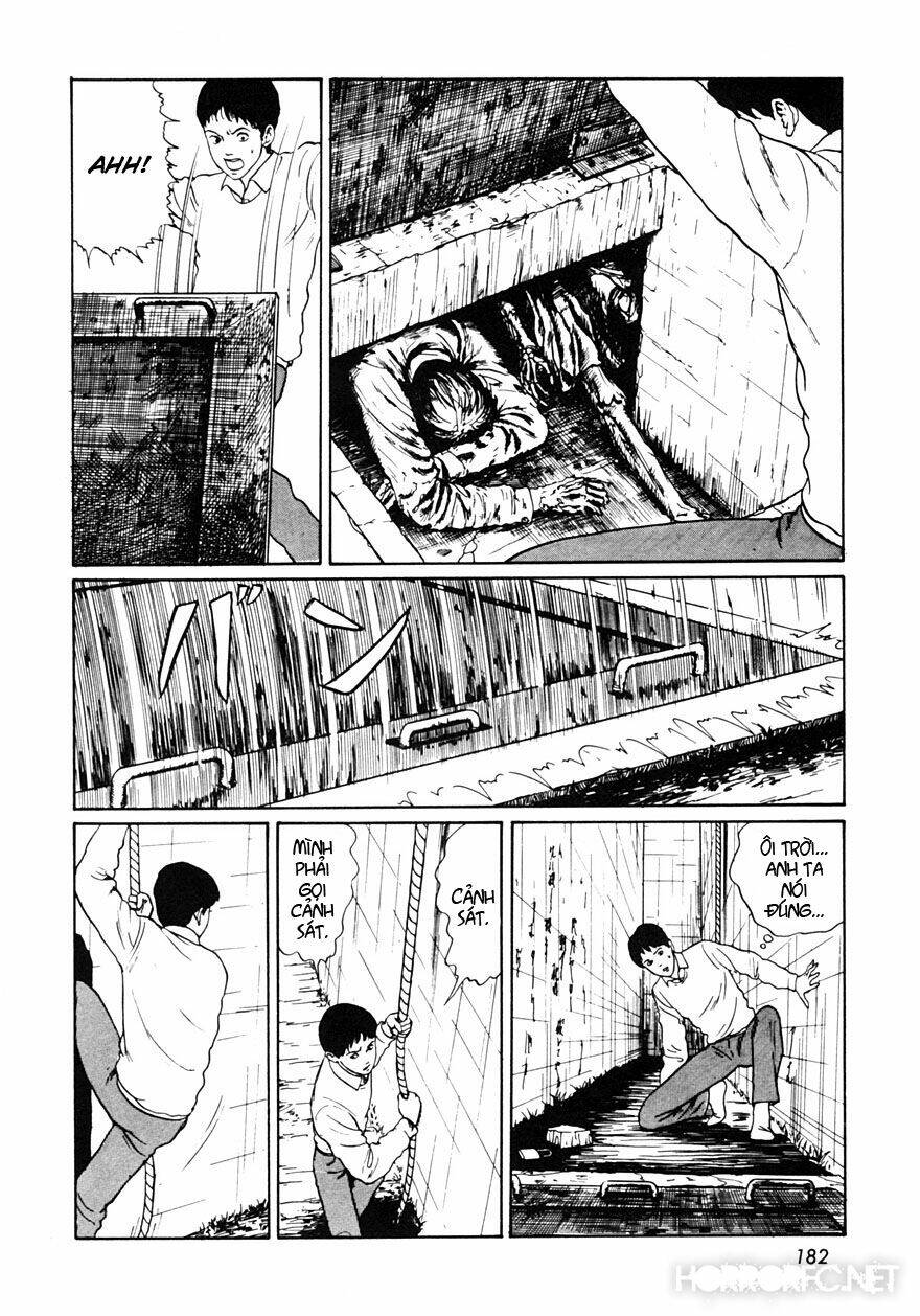 page_27.jpg
