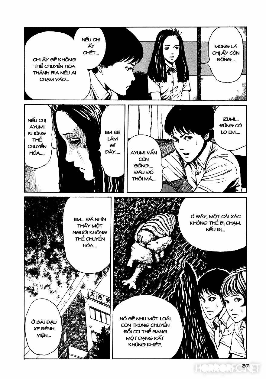 page_38.jpg