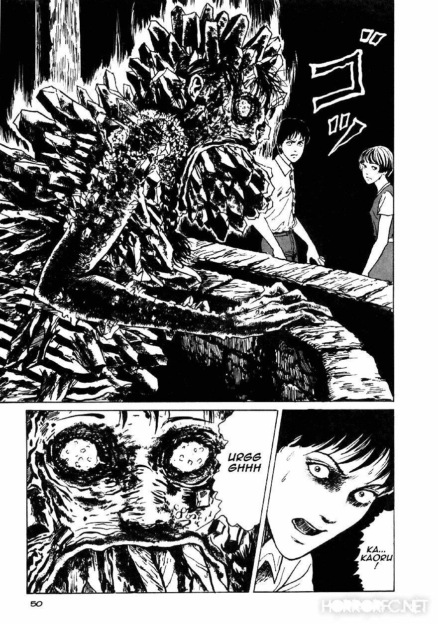page_51.jpg