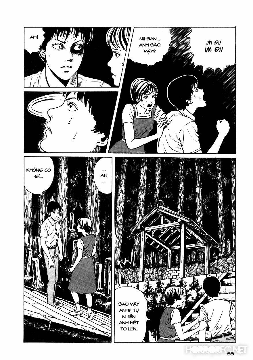 page_54.jpg