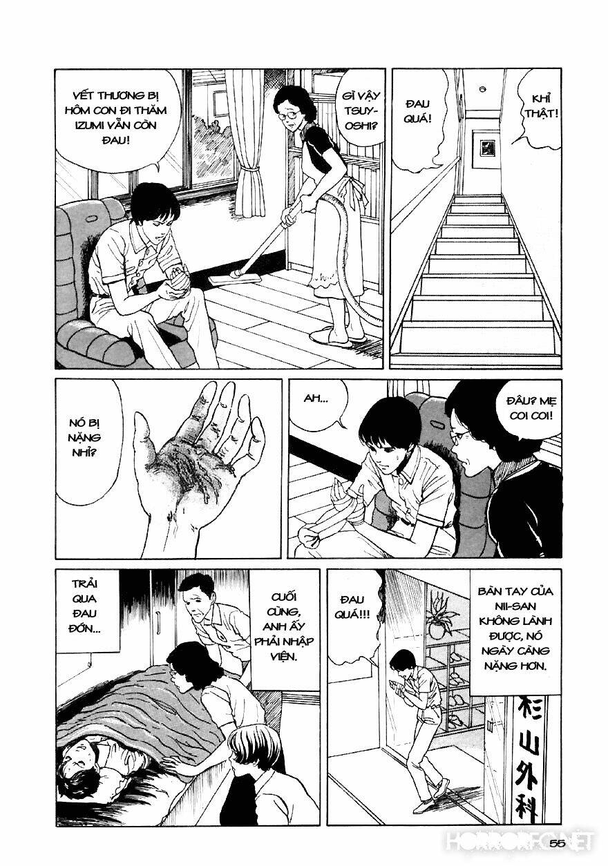 page_56.jpg