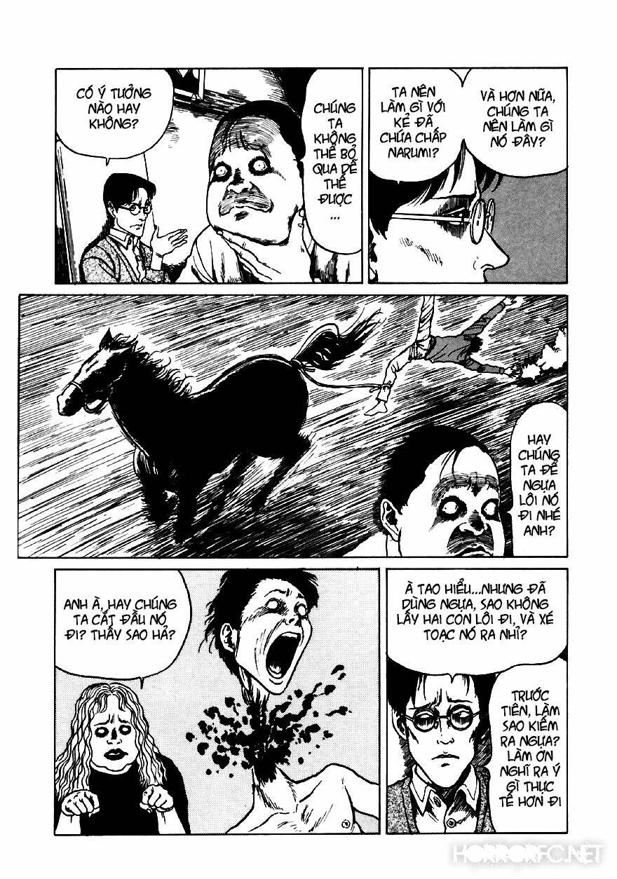 page_16.jpg