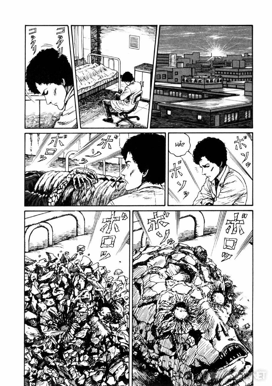 page_27.jpg