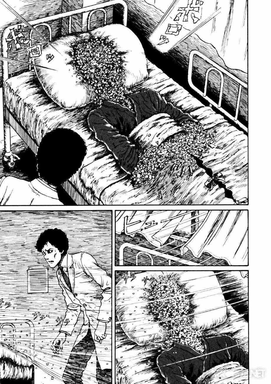 page_28.jpg