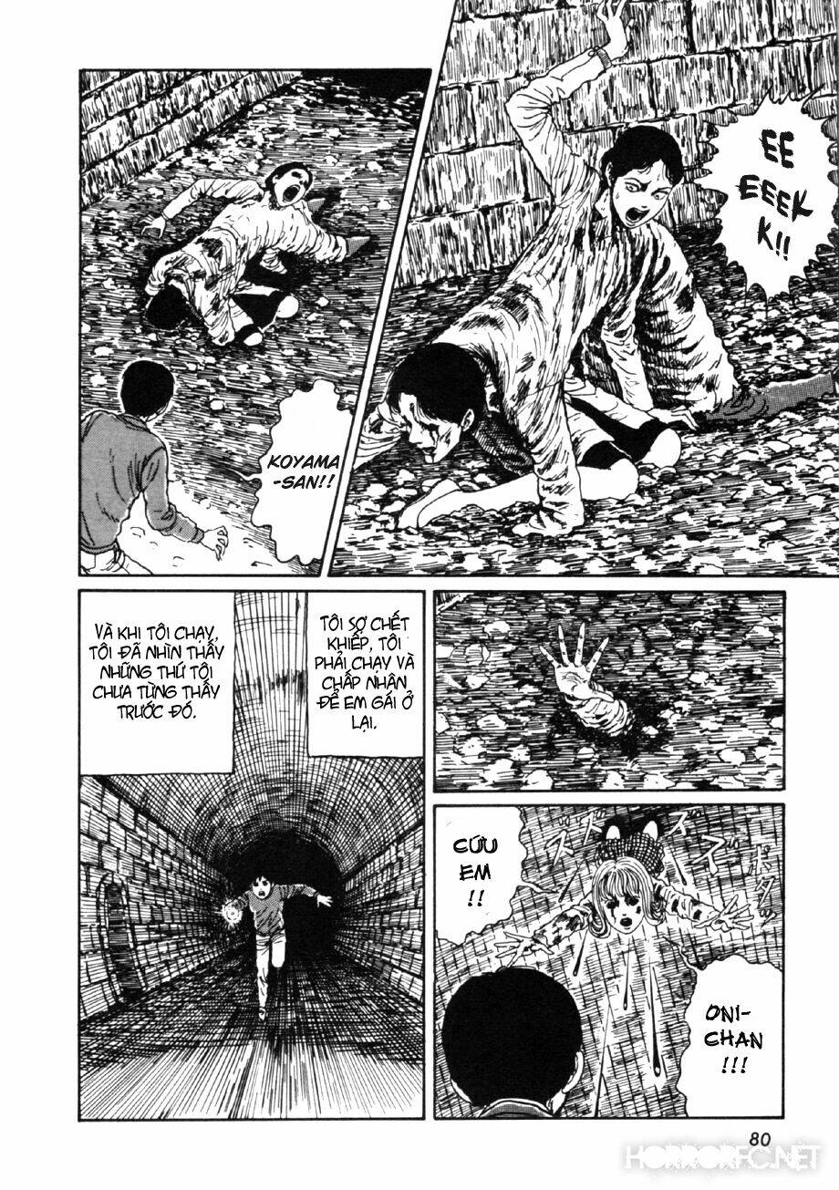 page_46.jpg