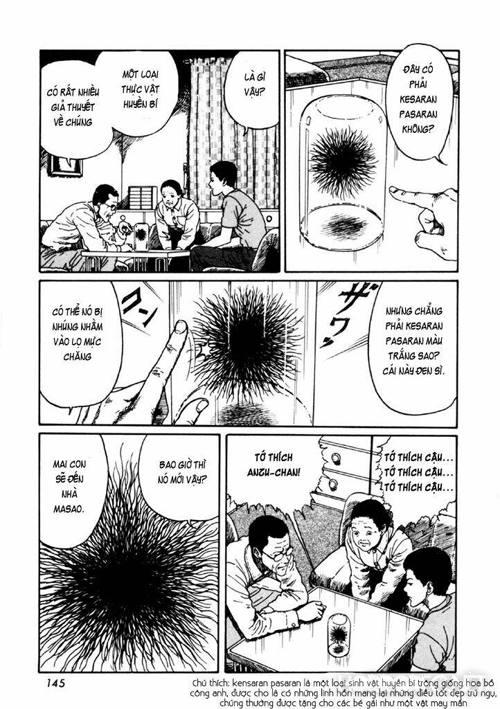 page_11.jpg