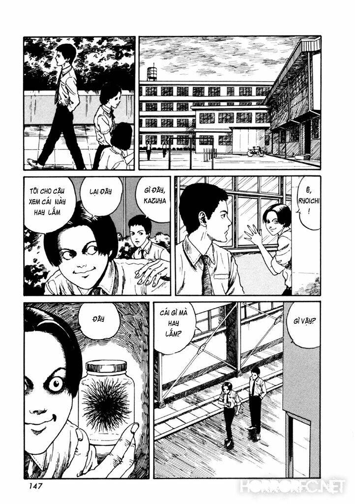 page_13.jpg
