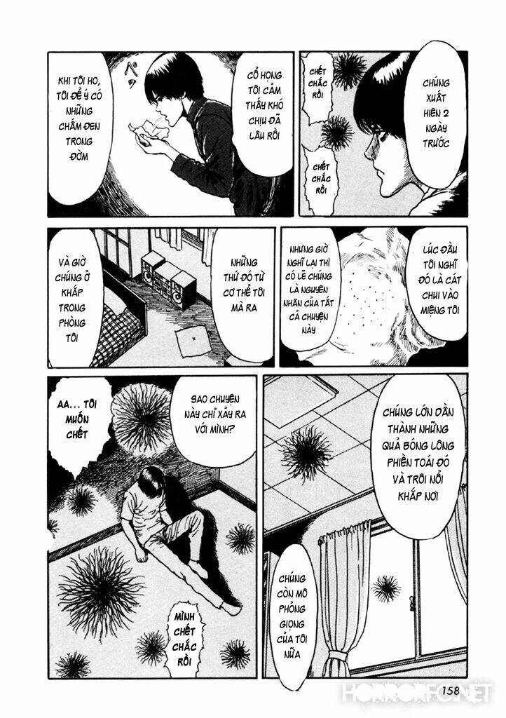 page_24.jpg