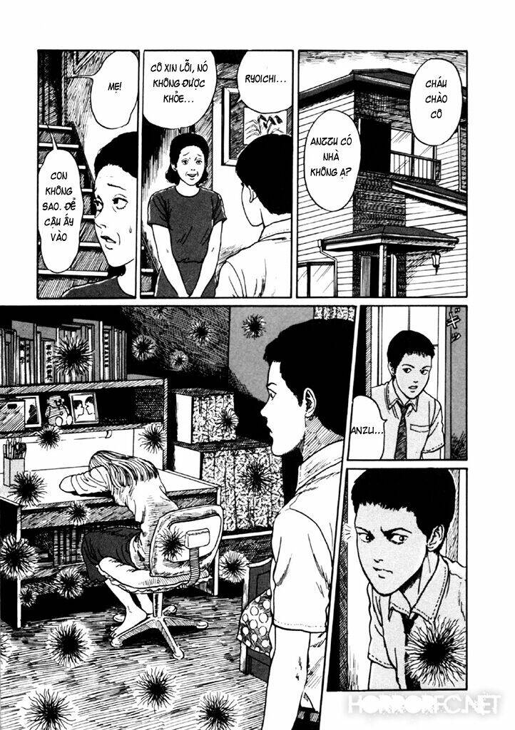 page_30.jpg