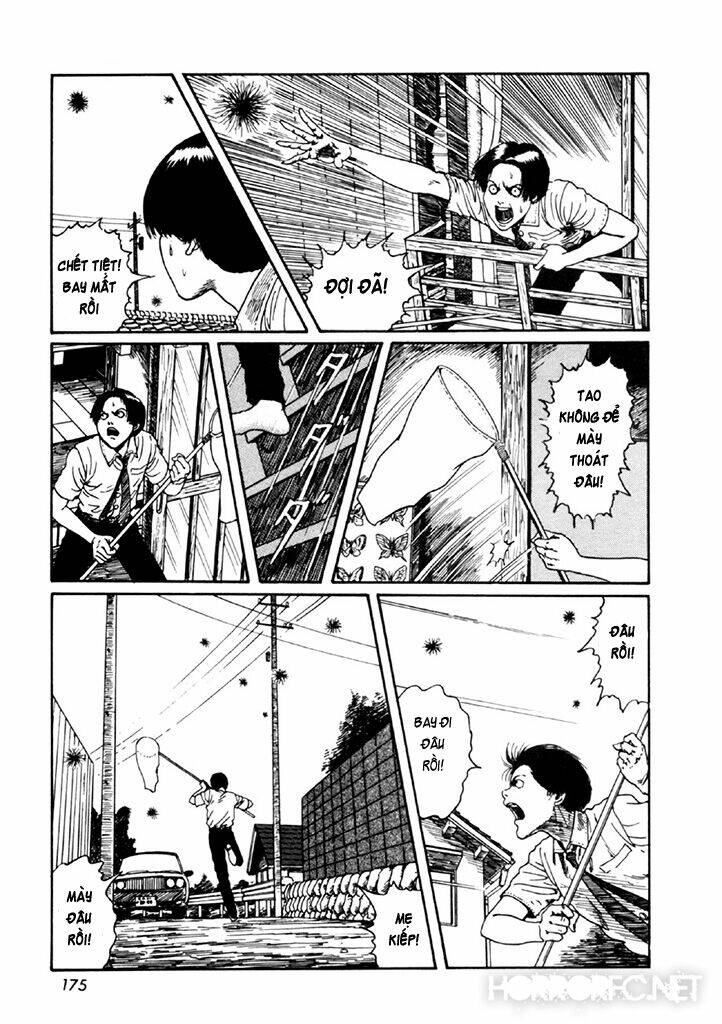 page_40.jpg