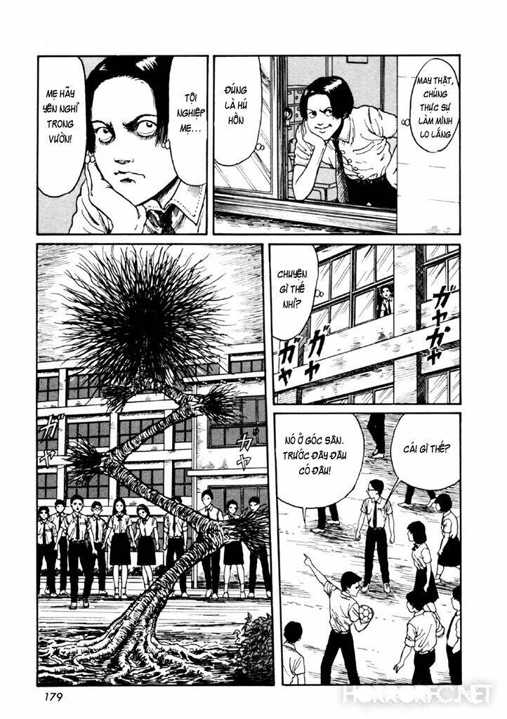 page_44.jpg