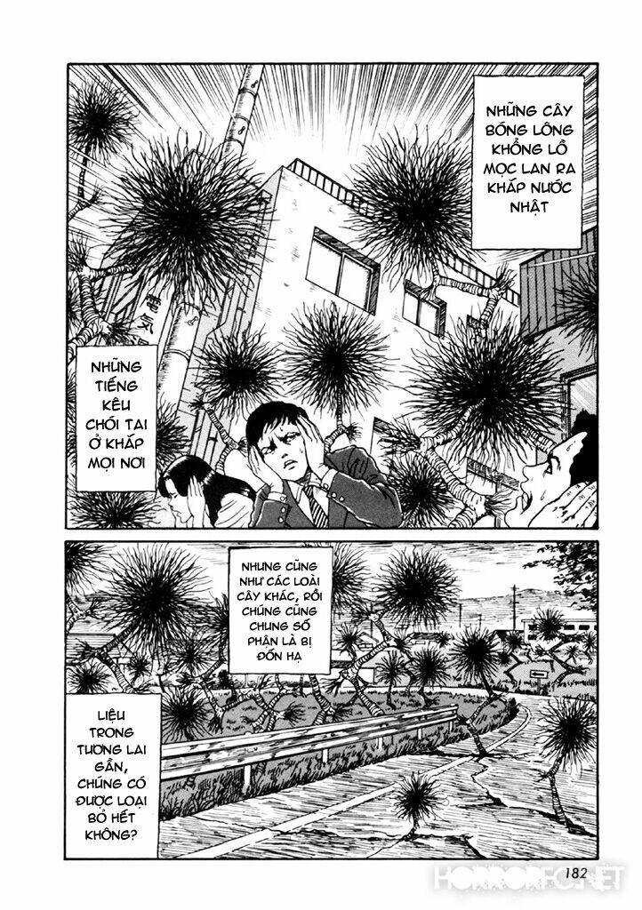 page_47.jpg