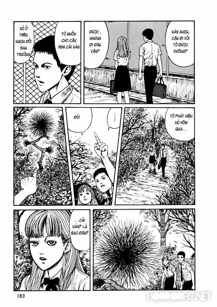 page_48.jpg
