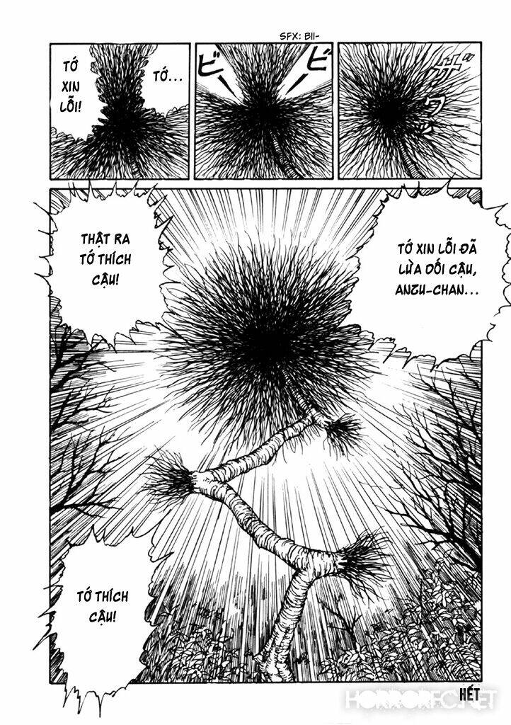 page_49.jpg